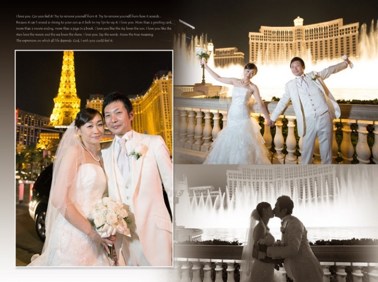 感想・おすすめ: